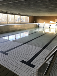 20191222 Stort bassin artikelbillede